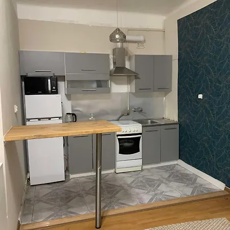 Apartment Starowka
